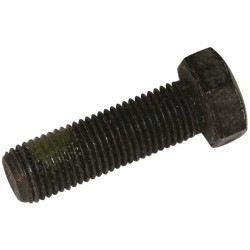 Boulon de lame AYP A165484