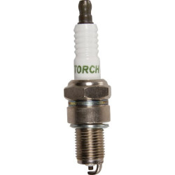 Bougie BRIGGS ET STRATTON 798615