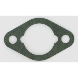 Bougie BRIGGS ET STRATTON 710060WM