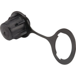 Bouchon de réservoir BRIGGS ET STRATTON 795472