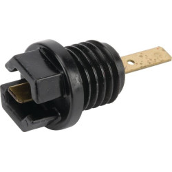 Bouchon d'huile BRIGGS ET STRATTON 699947