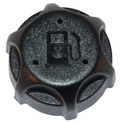 Bouchon de réservoir BRIGGS ET STRATTON 497929S