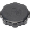 Bouchon de reservoir BRIGGS ET STRATTON 794641