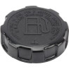 Bouchon de reservoir BRIGGS ET STRATTON 710490