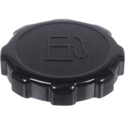 Bouchon de reservoir BRIGGS ET STRATTON 699840