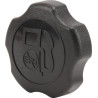 Bouchon de reservoir BRIGGS ET STRATTON 596472