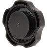 Bouchon de reservoir BRIGGS ET STRATTON 596472