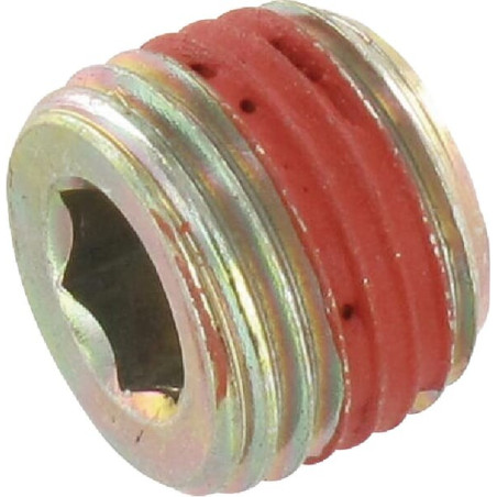 Bouchon BRIGGS ET STRATTON 690343