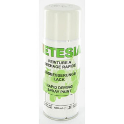 Bombe blanche 400ml ETESIA ET25966