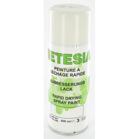 Bombe blanche 400ml ETESIA ET25966
