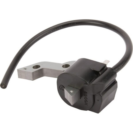 Bobine d'allumage BRIGGS ET STRATTON 711197WM