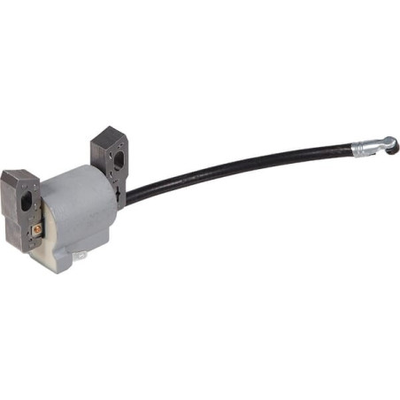 Bobine d'allumage BRIGGS ET STRATTON 595291