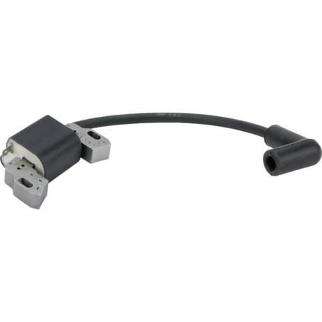 Bobine d'allumage BRIGGS ET STRATTON 595009