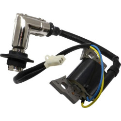 Bobine d'allumage BRIGGS ET STRATTON 317436GS