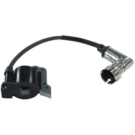 Bobine d'allumage ALPINA ALP6981204