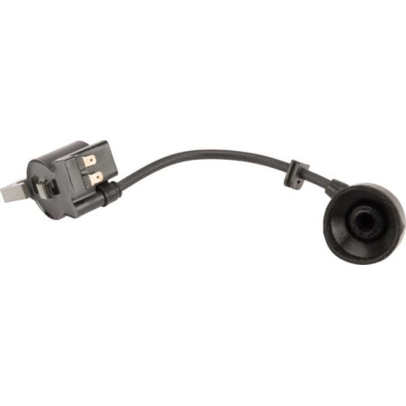 Bobine d'allumage ALPINA ALP6980261