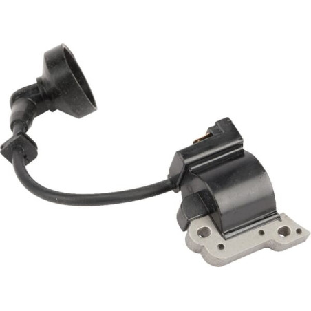 Bobine d'allumage ALPINA ALP6980261