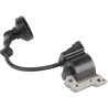 Bobine d'allumage ALPINA ALP6980261
