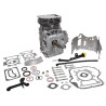 Cylindre BRIGGS ET STRATTON 592059A
