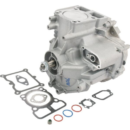 Cylindre BRIGGS ET STRATTON 795156A