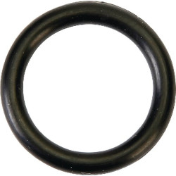 Bague AGRIA AGW18029