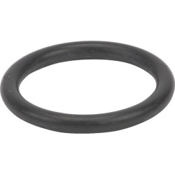 Bague AGRIA AGW02153