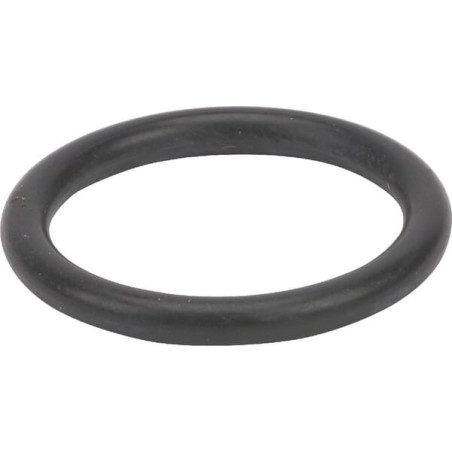 Bague AGRIA AGW02153