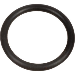 Bague AGRIA AGW39350