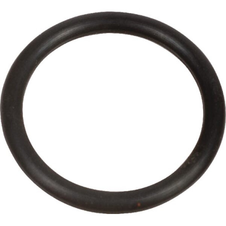Bague AGRIA AGW39350