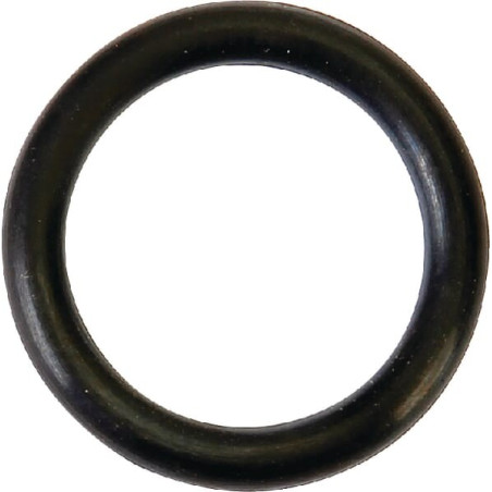 Bague AGRIA AGW02148