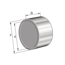 Bague intérieure INA/FFAG LR40X45X165