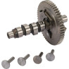 Arbre a cames BRIGGS ET STRATTON 845649