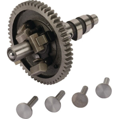 Arbre a cames BRIGGS ET STRATTON 845649