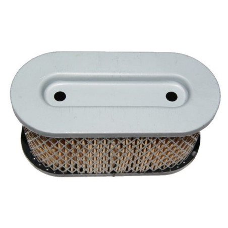 FILTRE A AIR 491950 Briggs et Stratton 5 cv verticaux Vanguard OHV
