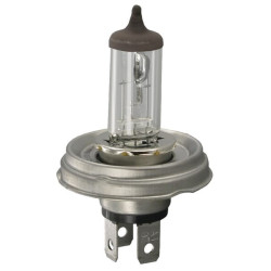 Ampoule HELLA 8GJ004173121