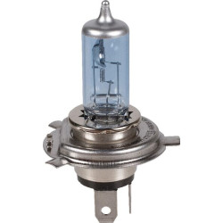 Ampoule HELLA 8GJ002525361