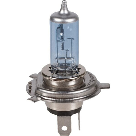 Ampoule HELLA 8GJ002525361