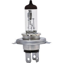 Ampoule UNIVERSEL B2446