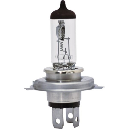 Ampoule UNIVERSEL B2446