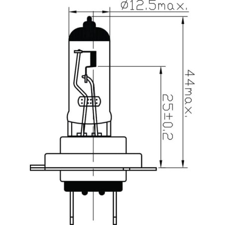 Ampoule UNIVERSEL B2446