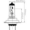 Ampoule UNIVERSEL B2446