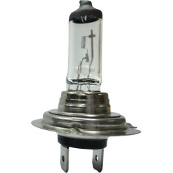 Ampoule UNIVERSEL B2423
