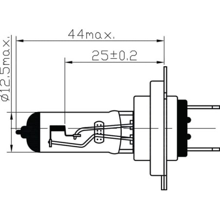 Ampoule UNIVERSEL B2423