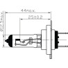 Ampoule UNIVERSEL B2423