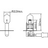 Ampoule UNIVERSEL B2417