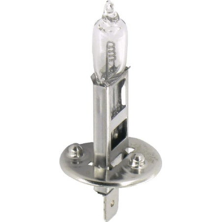 Ampoule UNIVERSEL B2424