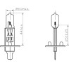 Ampoule UNIVERSEL B2424