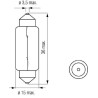 Ampoule UNIVERSEL B2430