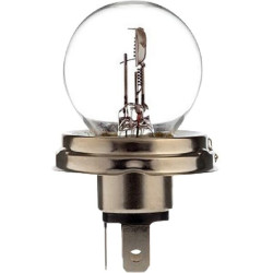 Ampoule UNIVERSEL B2462