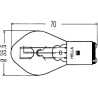 Ampoule HELLA 8GD002084251